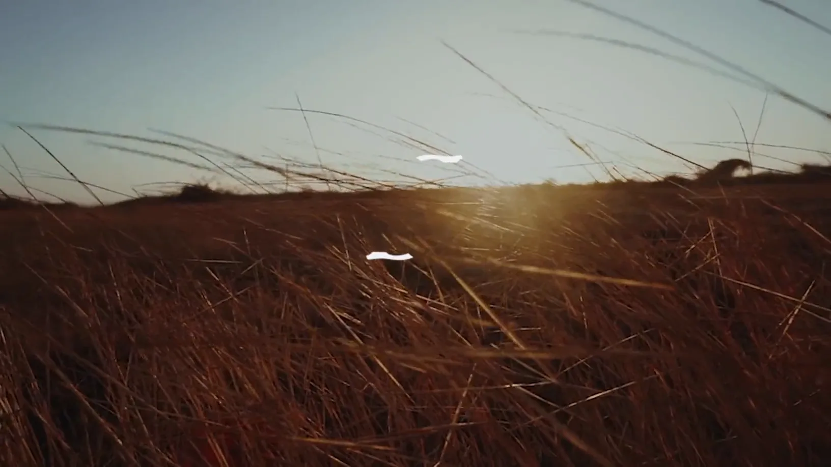 A move low through rust-coloured grass into the sun, the Haddon monogram resolving in white.